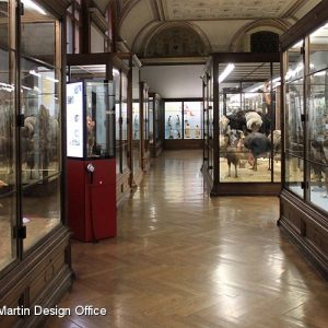 Naturhistorisches Museum, Wien (AT)